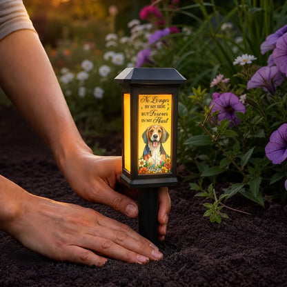 w2.jpg