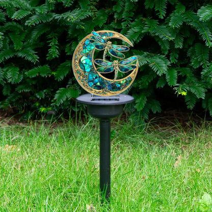 w4.jpg