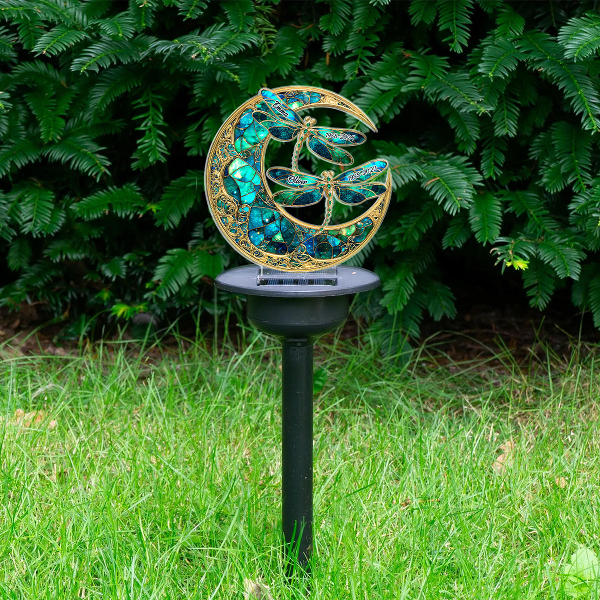 w4.jpg
