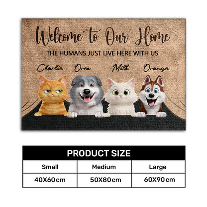 w8.jpg